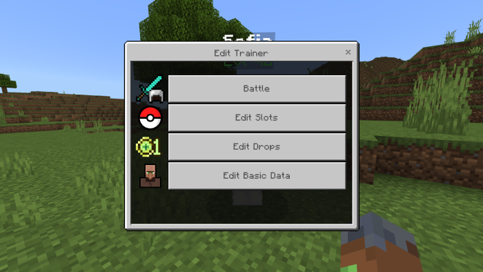 Trainer customization