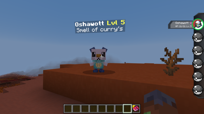 Pokemon following the player