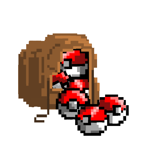Trainer Ball Bundle