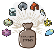 Evolution Bundle